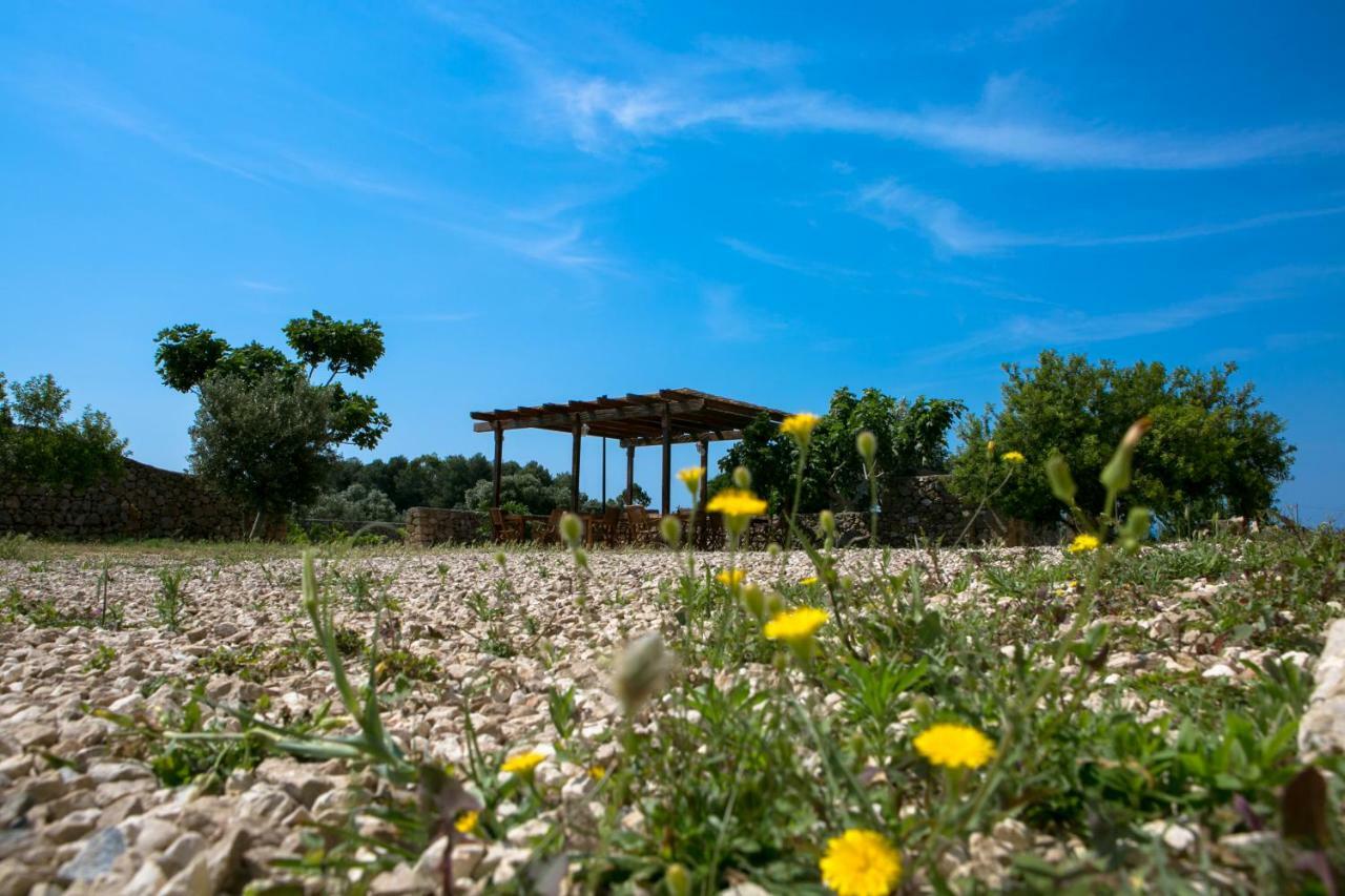 Antica Masseria Ficazzana - Tenuta Marina Di Pescoluse Esterno foto