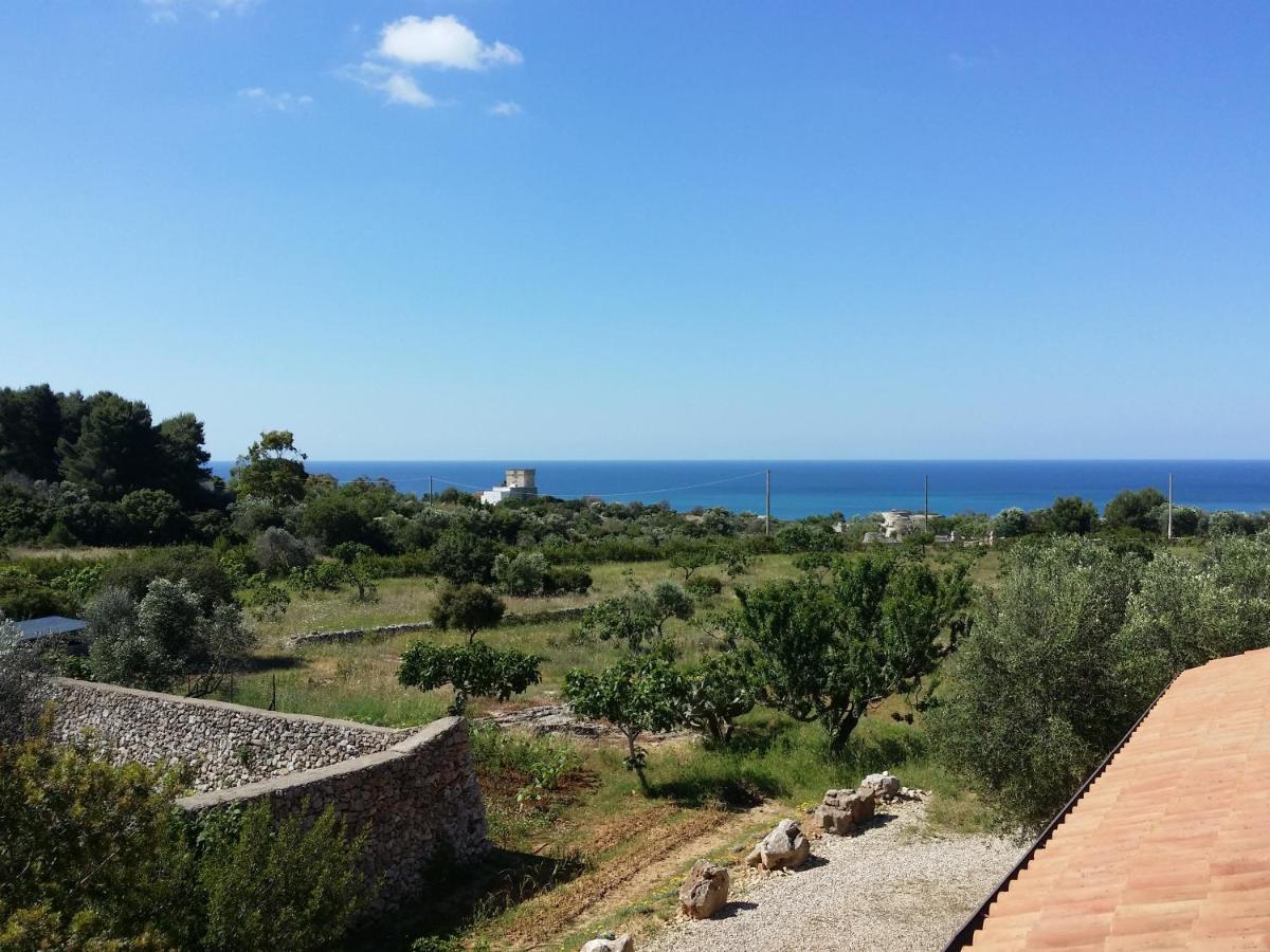 Antica Masseria Ficazzana - Tenuta Marina Di Pescoluse Esterno foto